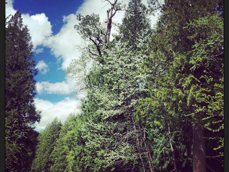 I Did DNA Testing and Holy&nbsp;S#!t