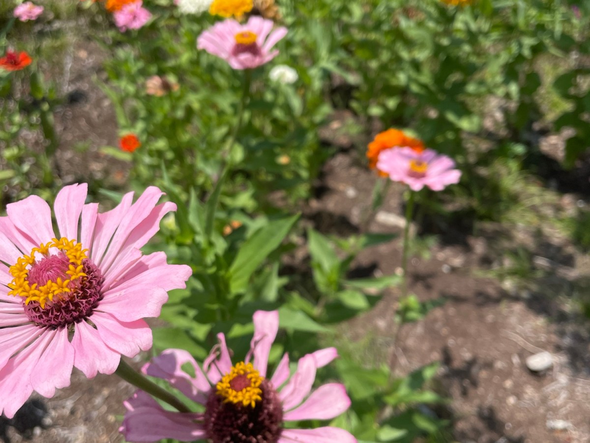 The Effort is&nbsp;There