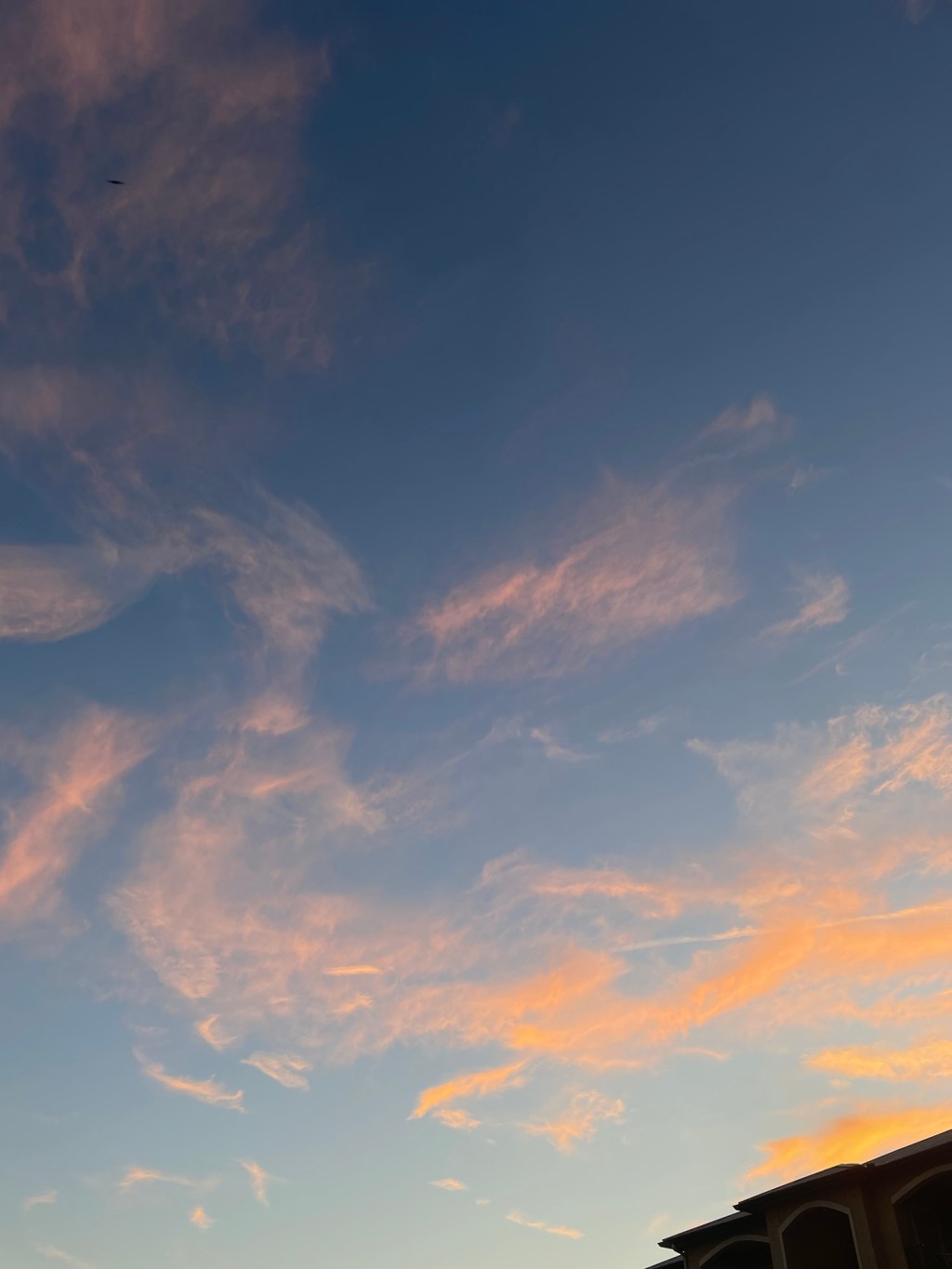 Psych Visit and a Book