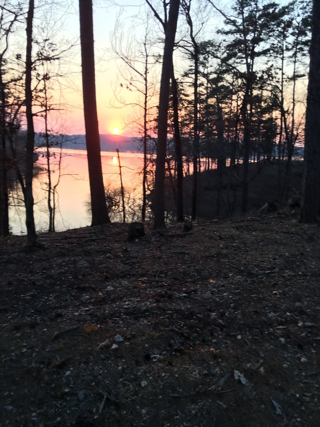 The Physical Effects of Antipsychotics: Part Two