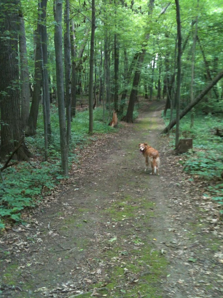 Dating & Other Fears