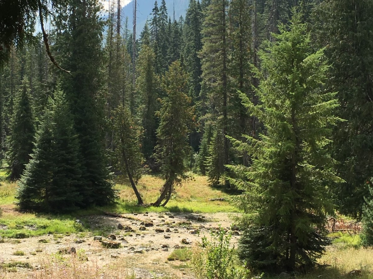 The Difference Between Paranoia and&nbsp;Anxiety