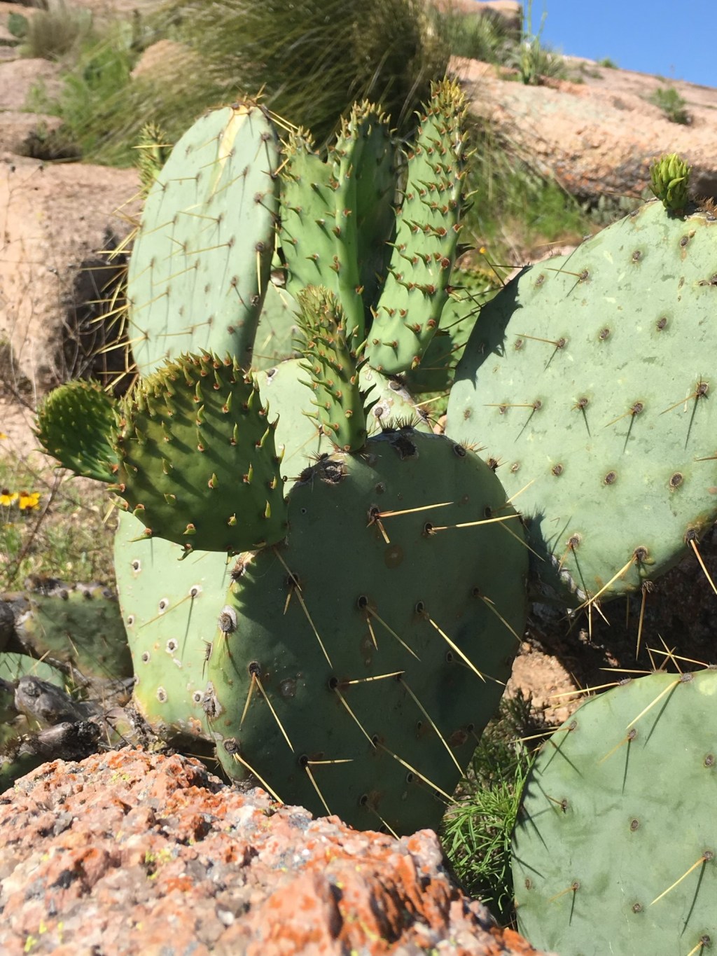 Stability and PRN’s