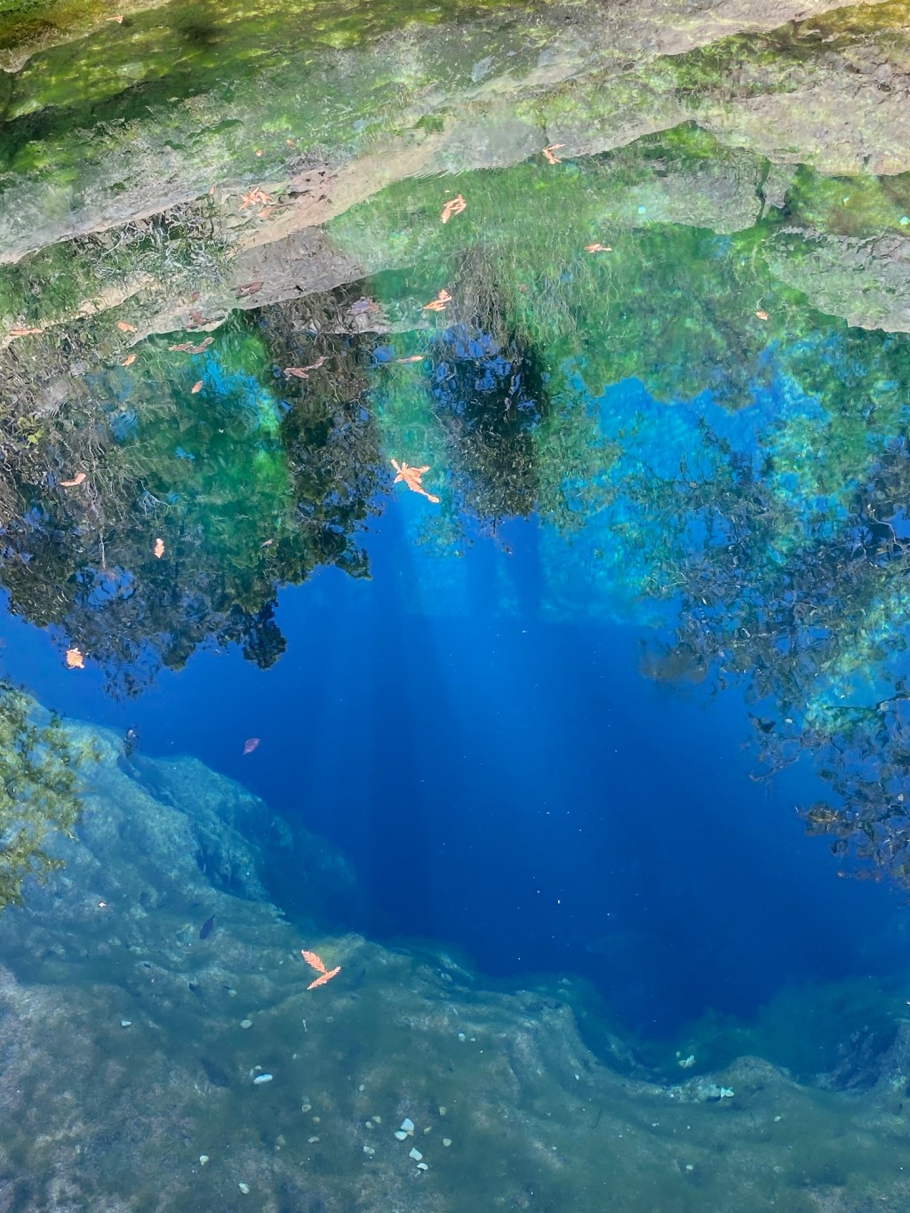 Parts of My Verbal Auditory Hallucinations