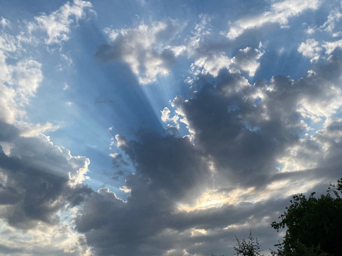 Supplements, Diet, and my Mental&nbsp;Health