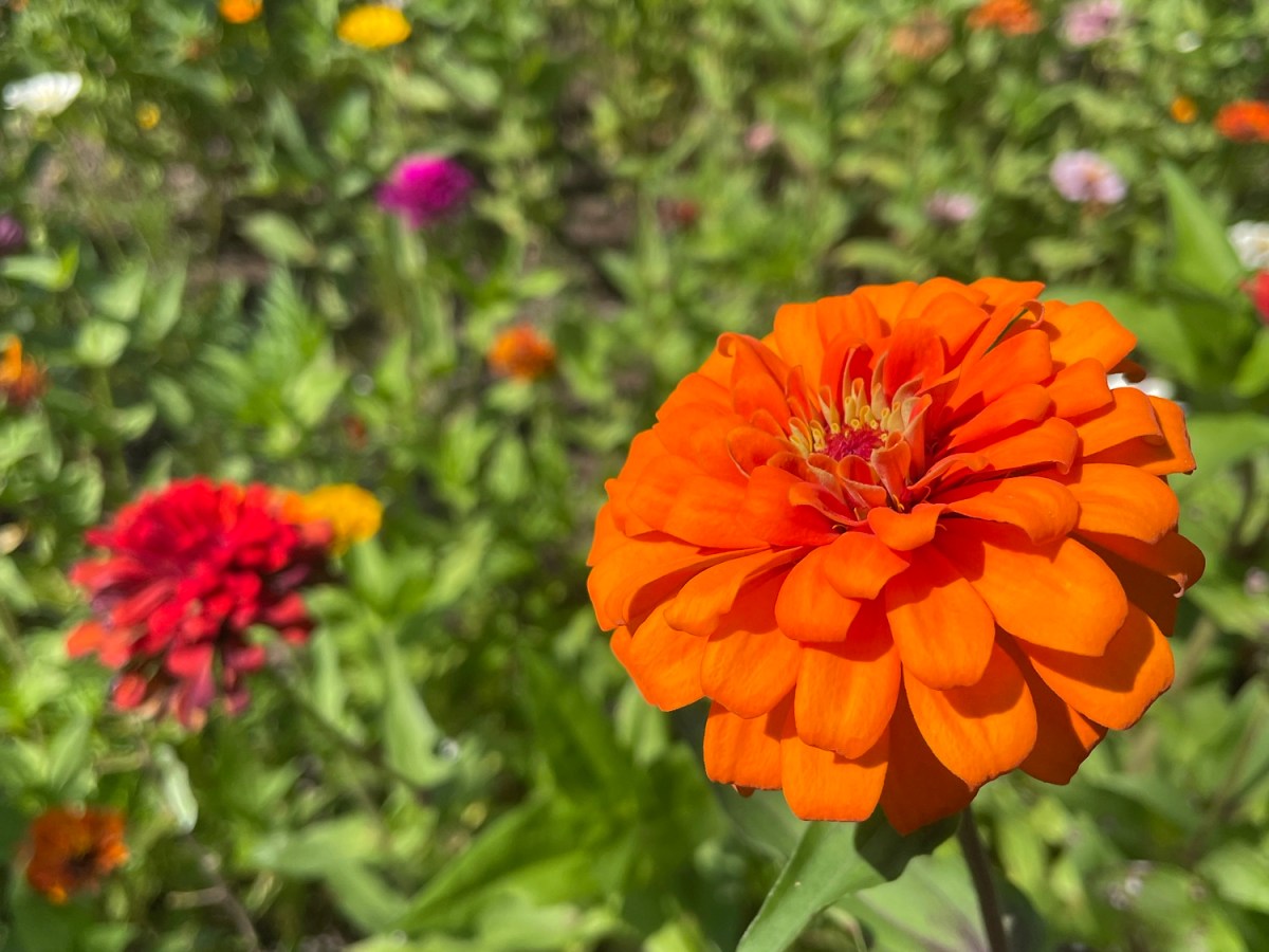 I’m Not Who I Once&nbsp;Was