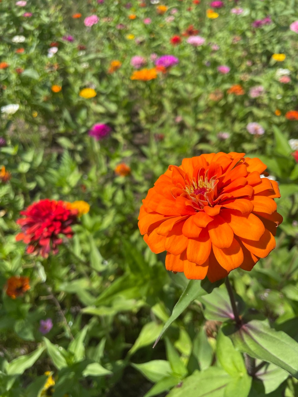 I’m Not Who I Once Was