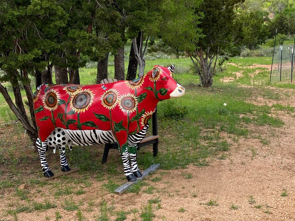 I Realized I was Depressed and&nbsp;Paranoid