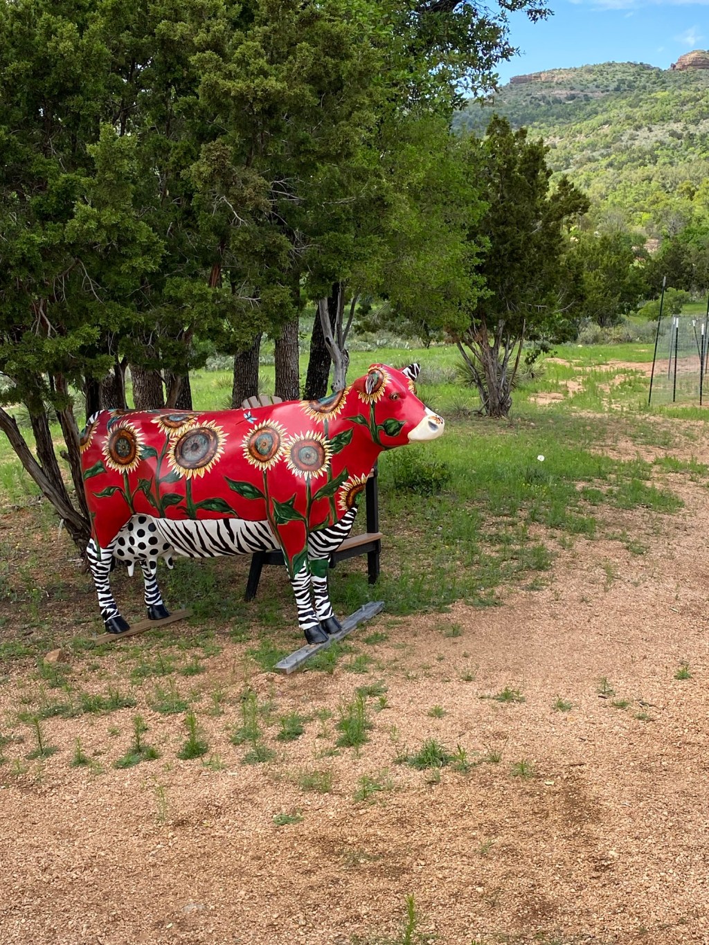 I Realized I was Depressed and Paranoid