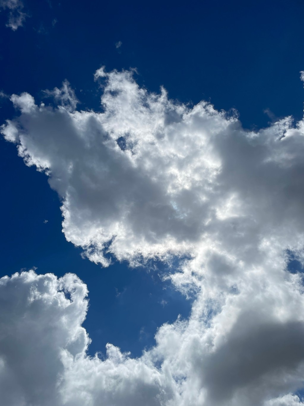 The Voices and Being Followed