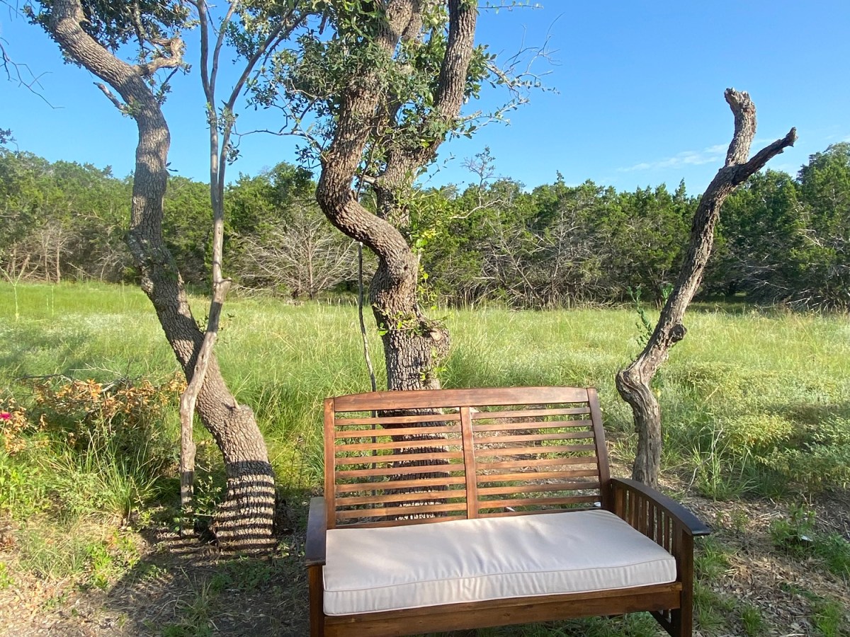 My Automatic Self Loathing Has Been&nbsp;Quelled