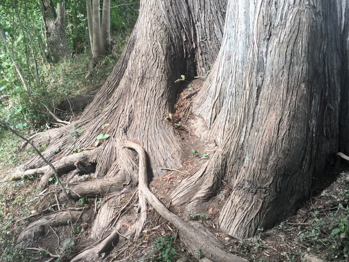 I’ve Just Been Sad The Past Few&nbsp;Weeks