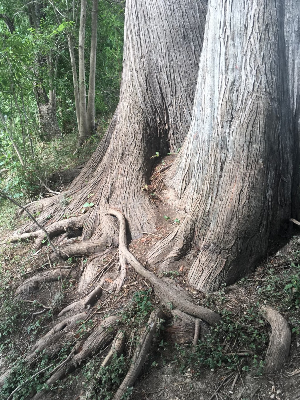 I’ve Just Been Sad The Past Few Weeks