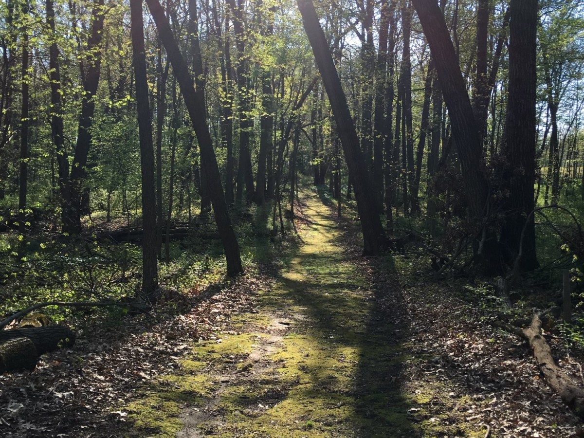 EMDR Work and a Nutritionist Appointment&nbsp;