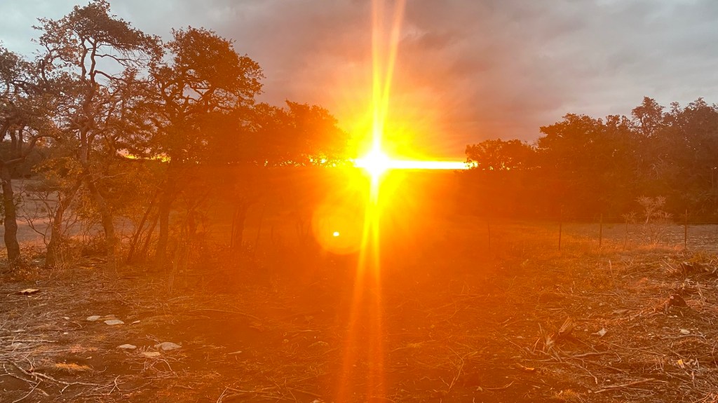 The Time I Started A Forest Fire