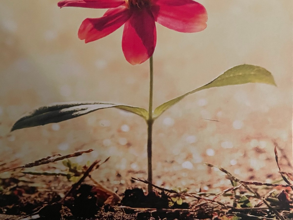 I’m No Longer Actively Hating&nbsp;Myself