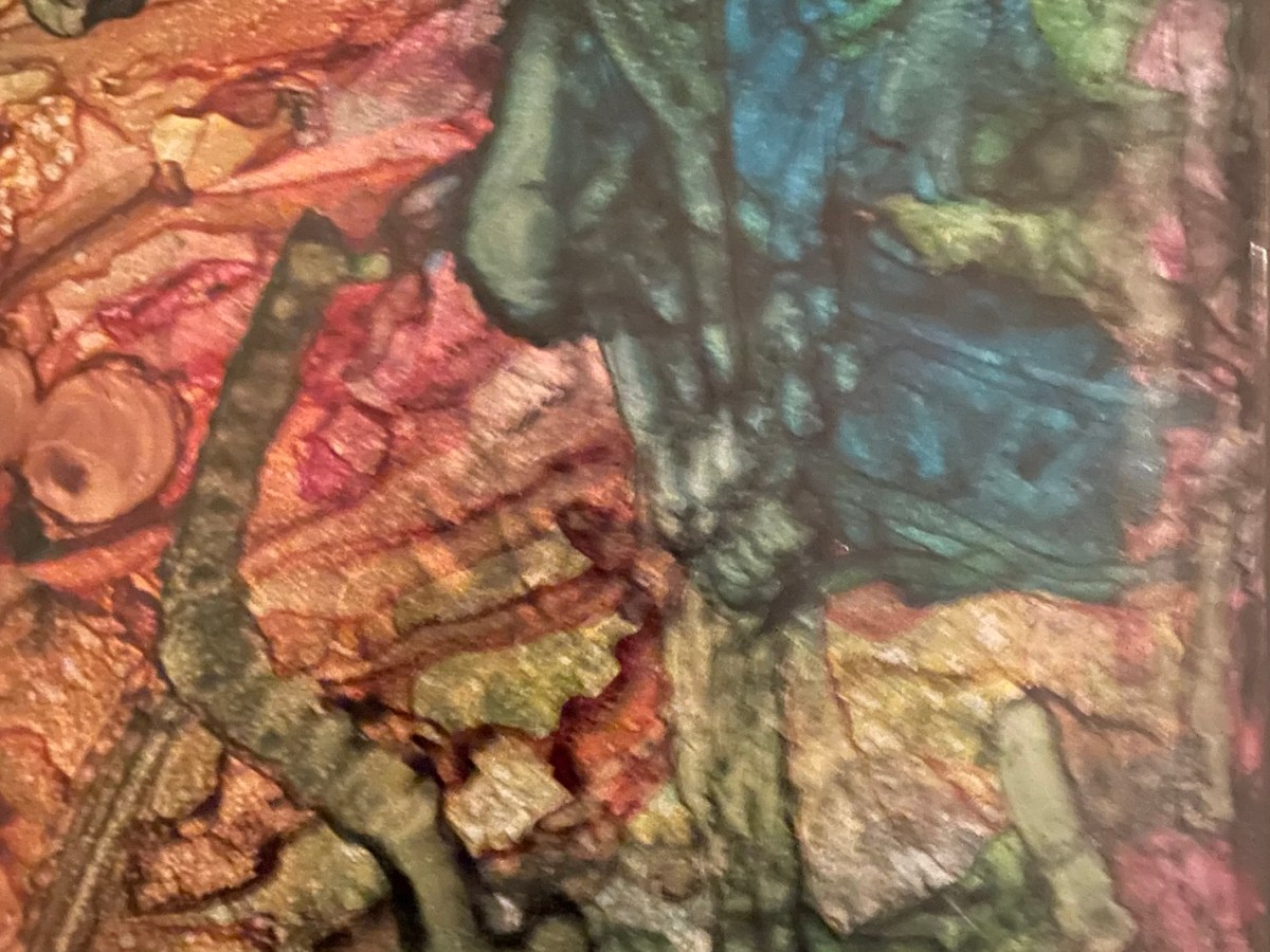 Delusions and Healthcare&nbsp;Crap