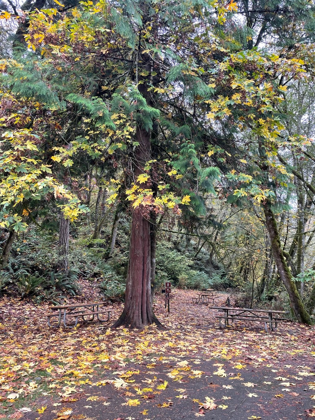 Hoping I Don’t Crash