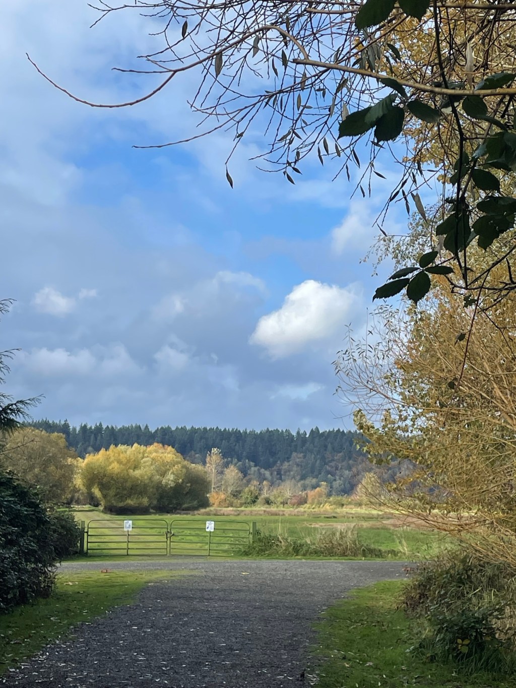 I Had An Incident With My Now Ex-Therapist