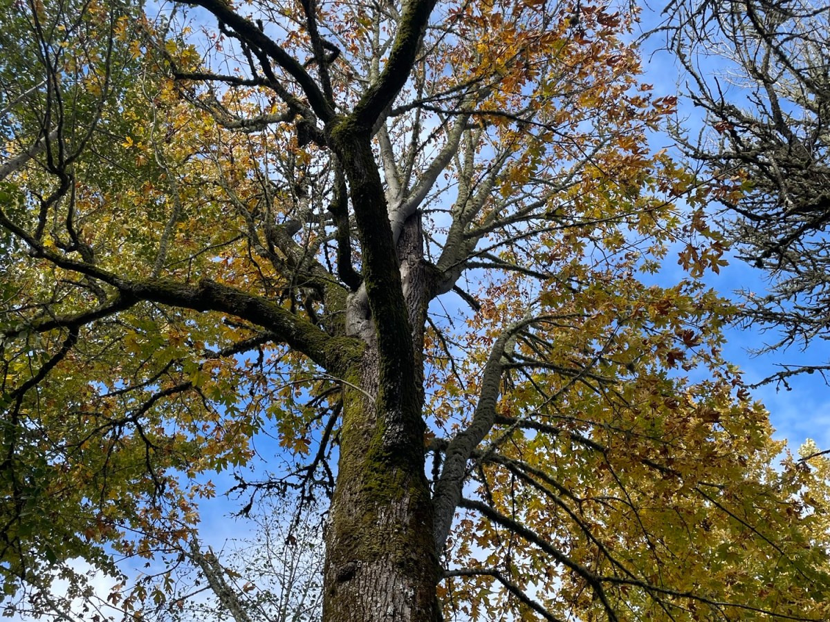 Trusting Myself For The First&nbsp;Time