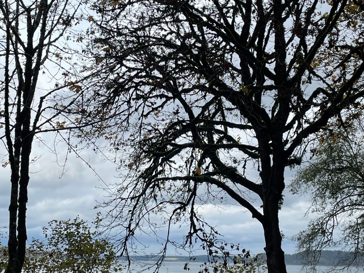 My Anxiety Caused Motion Sickness and Other&nbsp;Shituations…