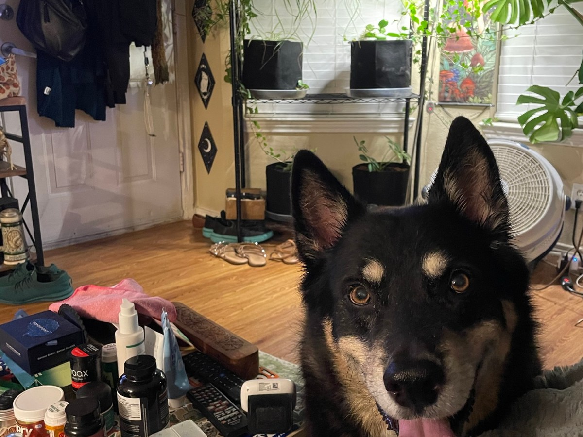 After The Second&nbsp;Procedure