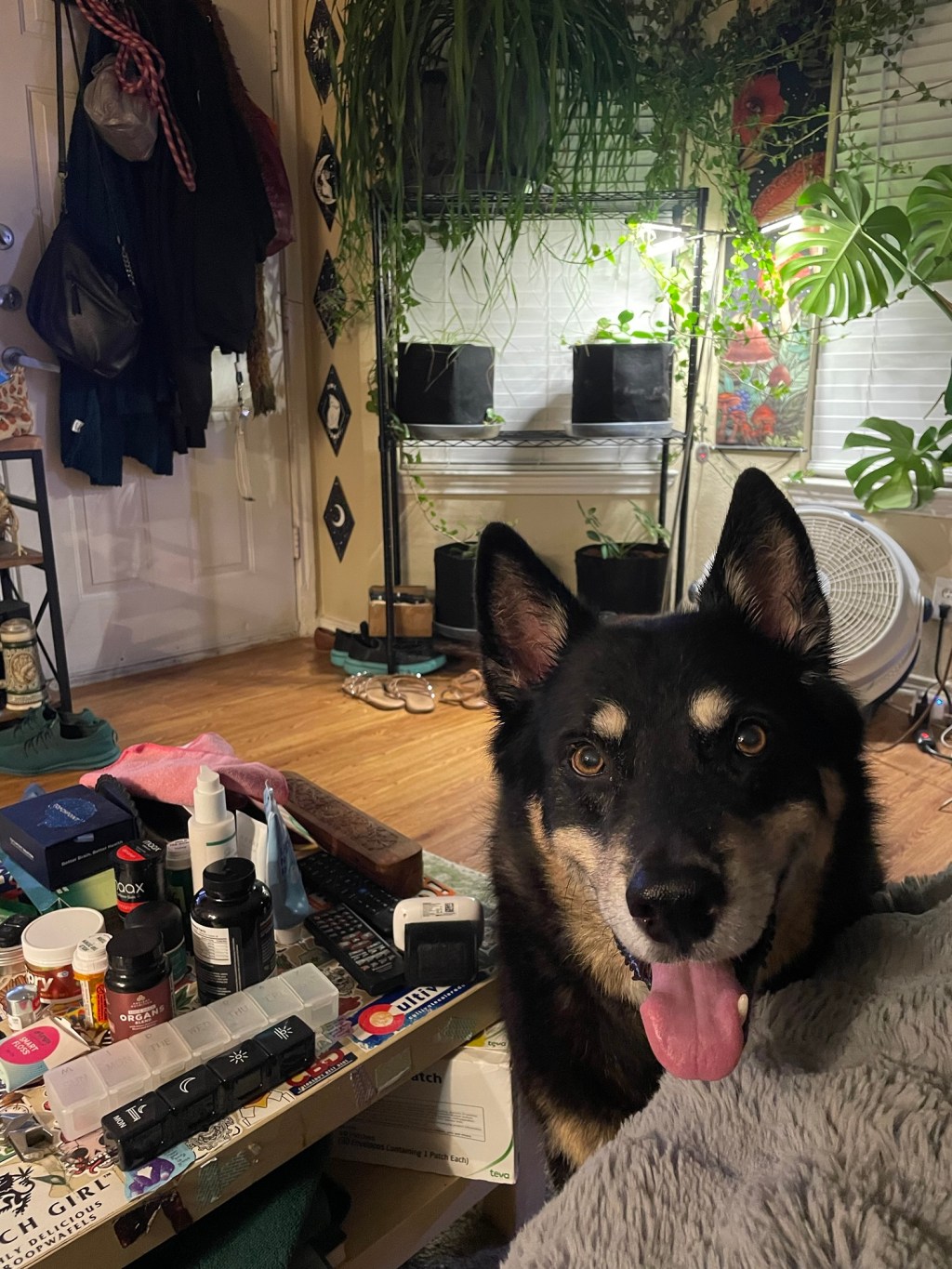 After The Second Procedure